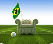 Brazil soccer fun Brazil soccer fun