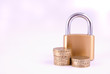 Protecting Your Finances