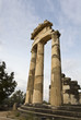 Temple of Athena pronoia at Delphi oracle in Greece