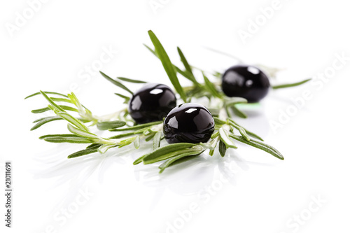 Photo: Olive branch Olive branch