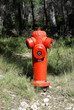 borne incendie en forêt