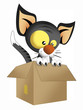 gatto