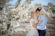 Spring wedding