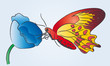 Schmetterling