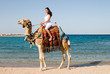 woman on camel