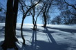Schneelandschaft Gegenlicht 3