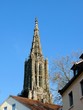 Münster in Ulm