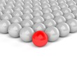 red leader, on white background