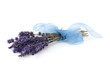 Foto: Lavendel Bund Lavendel Bund