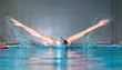 butterfly stroke