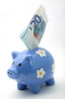 Sparschwein 20Euro