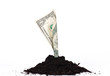 money growth money growth