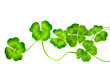 St.Patric's Day border. Lucky Clover