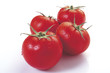 Tomate