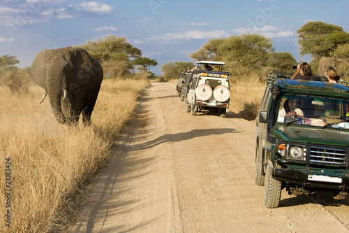 Photo: Wildlife Safari Wildlife Safari
