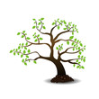 Vector Tree Vector Tree