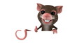 Souris et panneau blanc