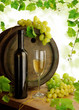 Composition with white wine