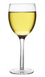 Glass of white wine