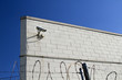 Observation camera