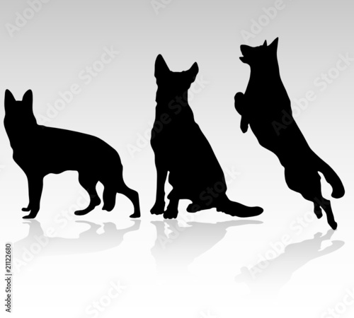 Vector: german shepherd dog vector silhouettes
