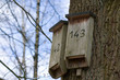 Nistkasten