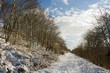 Winterlandschaft