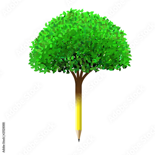 Pencil tree Pencil tree