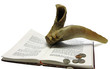 Repentance