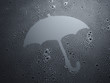 Foto: Regenschirm auf schwarzem Hintergrund mit Wassertropfen Regenschirm auf schwarzem Hintergrund mit Wassertropfen