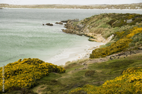 Photo: Gypsy Cove - Falkland Islands Gypsy Cove - Falkland Islands