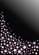 桜吹雪