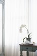 Foto: Orchid and laptop with letters on table at window Orchid and laptop with letters on table at window