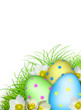 Painted Colorful Easter Eggs on green Grass