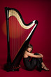 musicista