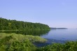 Blue lake landscape in a green Texas forest view, nature