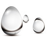 Oeuf_Transparence
