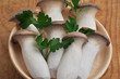 Funghi pleurotus o eringii