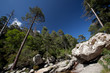 inland Corsica