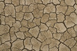 Cracked dirt