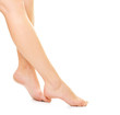 Beautiful woman Feet over white
