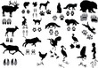 set of animals and its tracks set of animals and its tracks