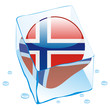 vector norway button flag frozen in ice cube