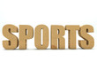 mot SPORTS en bois pin 3D mot SPORTS en bois pin 3D
