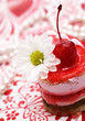 sweet fruit red cake with cherry  and white camomile