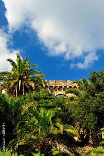 Foto: castle of hyeres behind palm trees castle of hyeres behind palm trees