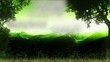 Video motion background, green nature.