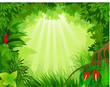 Beautiful tropical forest vector illustration Beautiful tropical forest vector illustration