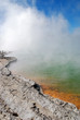Photo en ligne au meilleur prix couleurs naturelles