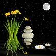 Fantasy Spring Garden